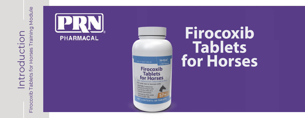 Firocoxib Tablets for Horses